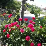 Marijan -