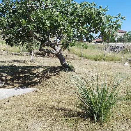 Apartman Marijan - *