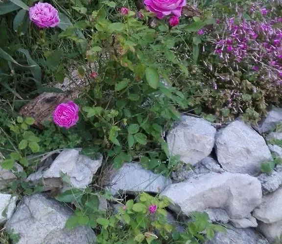 Marijan - Апартаменты *