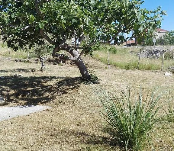 Апартаменты Marijan - *