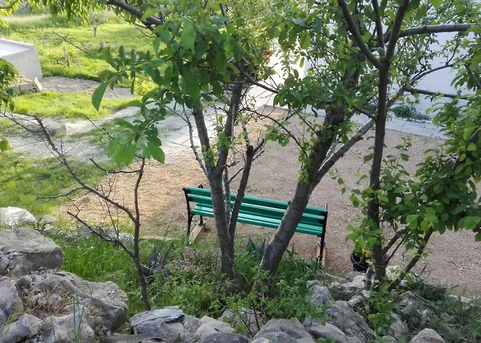 Marijan - Ртина