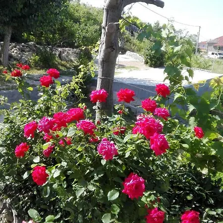 Marijan -